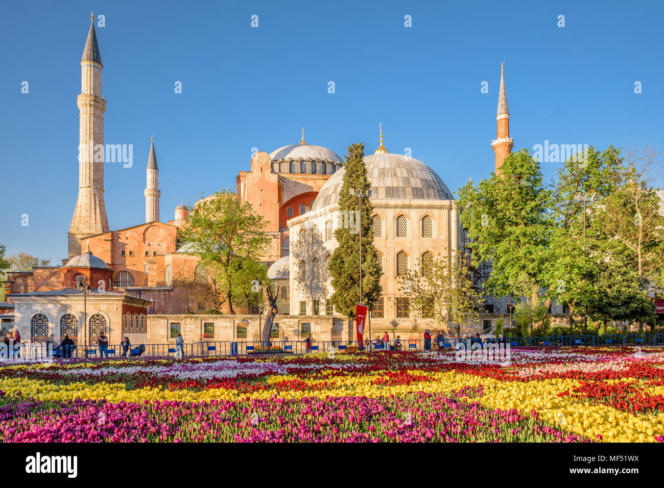 Blick auf die Hagia Sophia und der größte Teppich der Tulpen der Welt in Sultanahmet für Tulip Festival in Istanbul, Türkei, 21. April 2018 Stockfoto