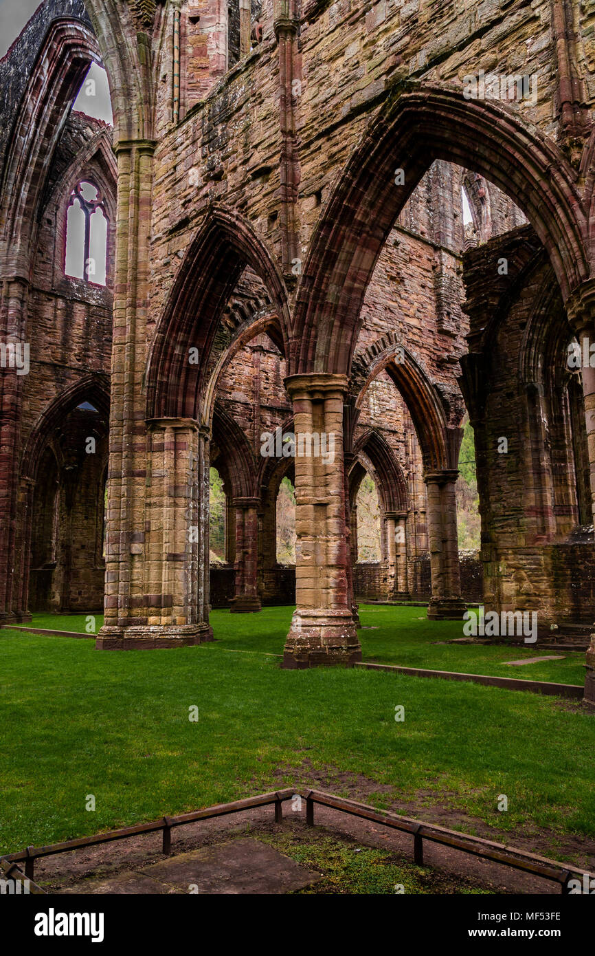 Ruinen von Tintern Abbey durch Fluss Wye in Monmouthshire, South Wales, UK. Übersicht Bögen, Schatten und Licht zeigt antike Architektur. Stockfoto