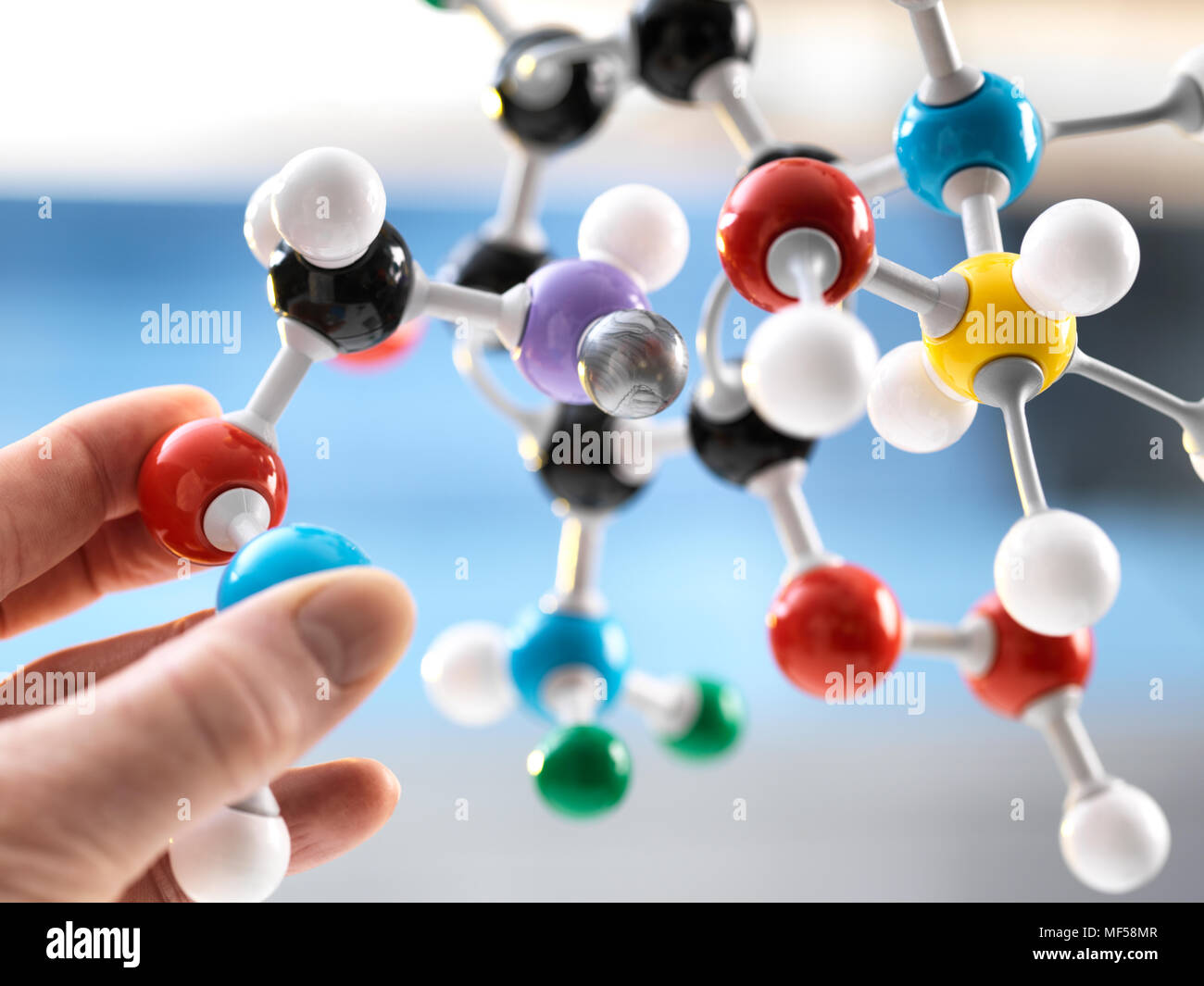 Wissenschaftler halten eine molekulare Modell Stockfoto
