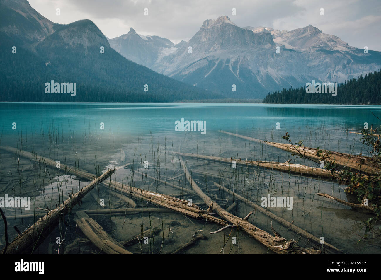 Kanada, British Columbia, Columbia-Shuswap A, Emerald Lake Trail, Michael Peak, Yoho National Park, Rocky Mountain Stockfoto