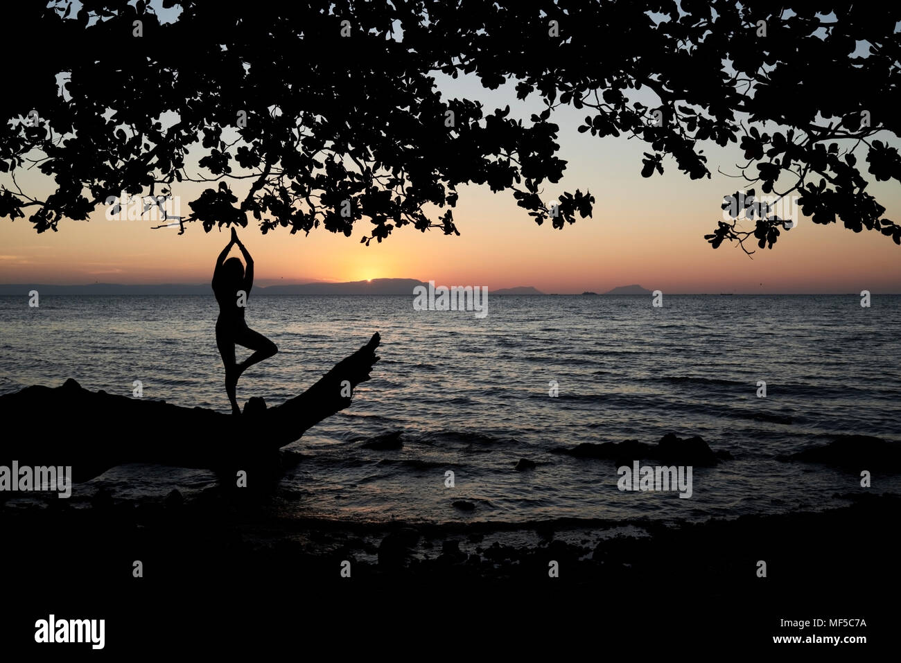 Junge Frau mit Yoga auf einen umgestürzten Baum im Meer bei Sonnenuntergang Stockfoto