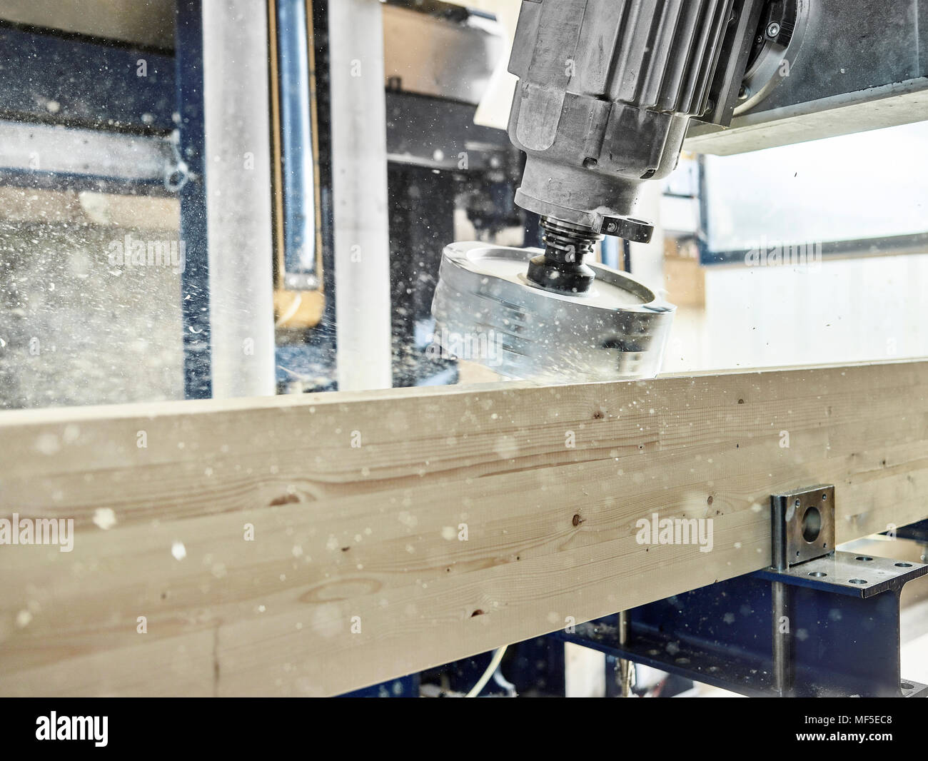 Holz Produktion, Fräsmaschine und hölzerne Verkleidung Stockfoto