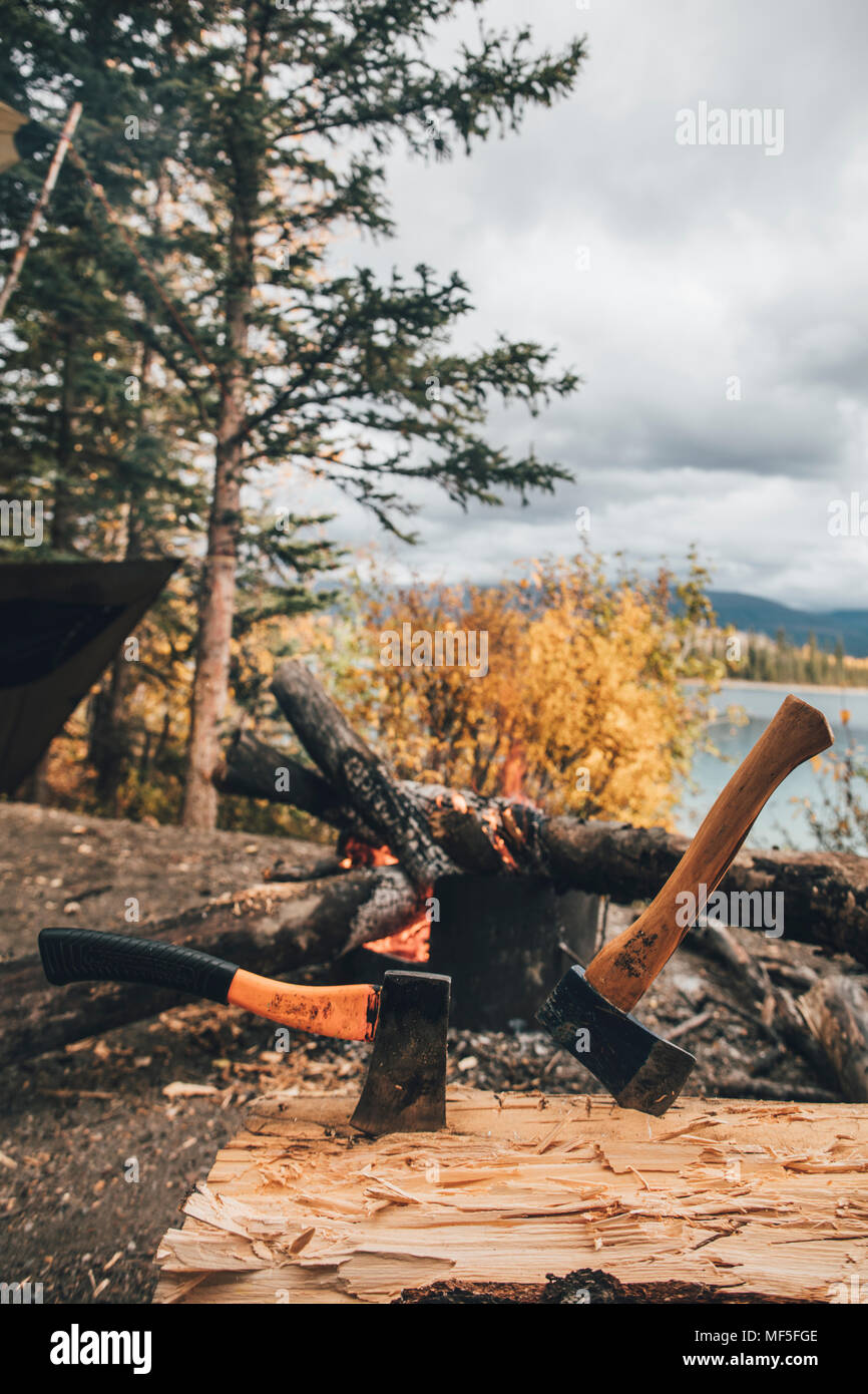 Kanada, British Columbia, Boya Lake, Hacken von Holz Stockfoto