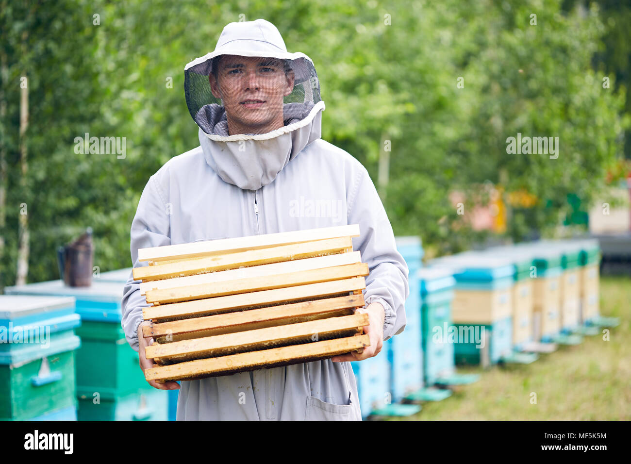 Junge Arbeitnehmer in Bienenhaus Stockfoto