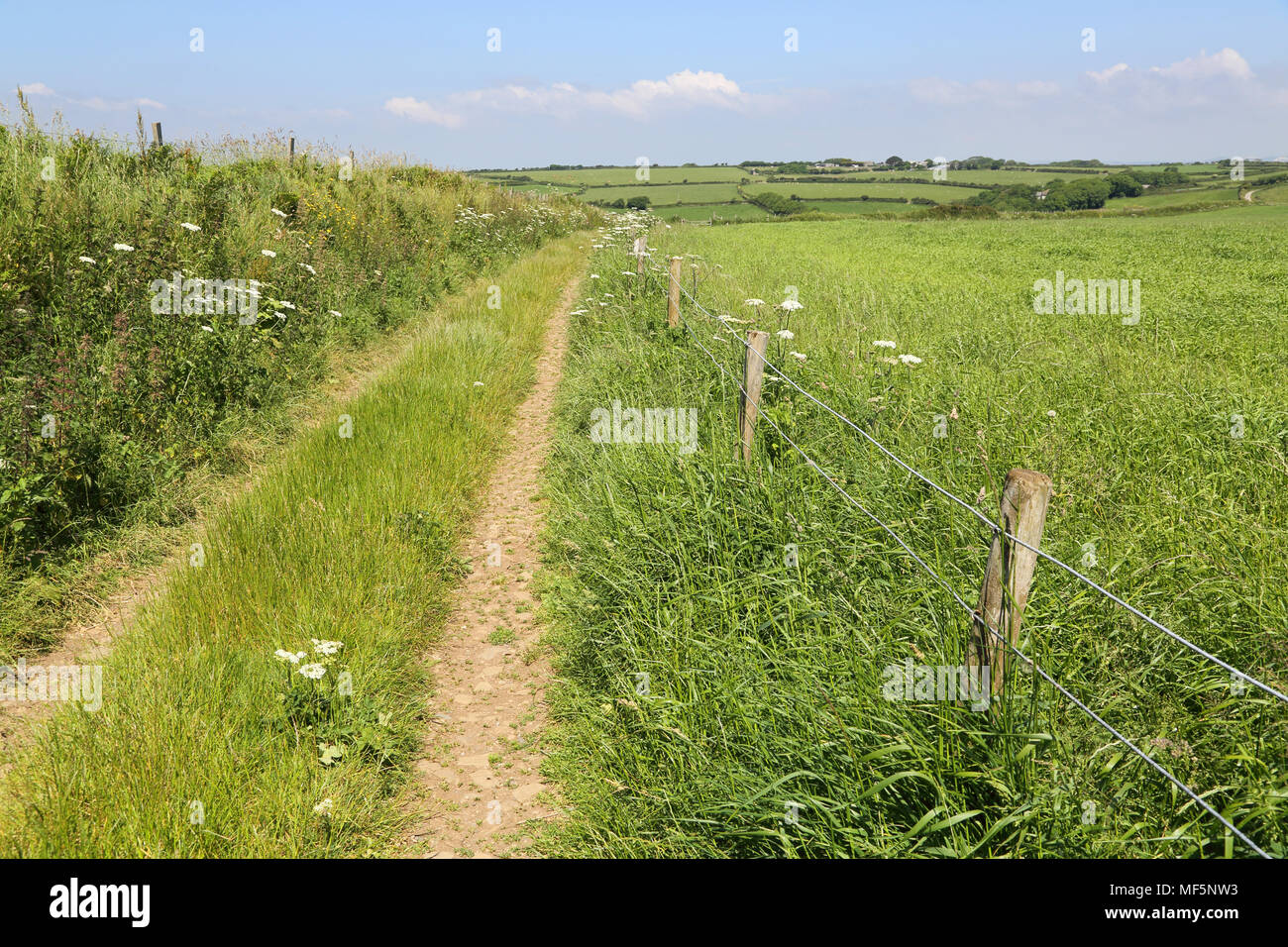Nare Kopf und der Süd-west Küste Weg in cornwall Stockfoto
