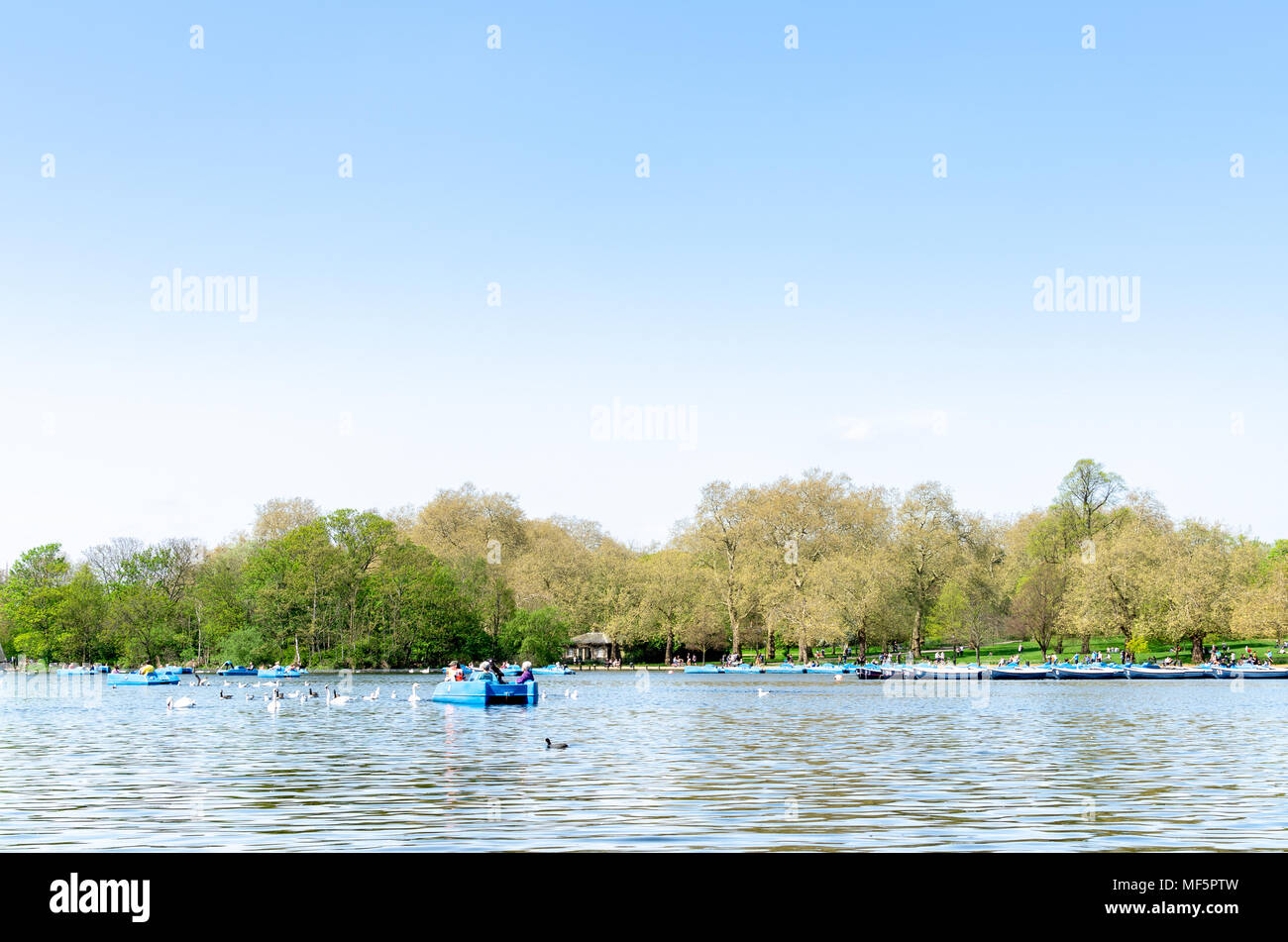 Touristen auf der Serpentine am Hyde Park unter einem blauen Himmel, London Stockfoto