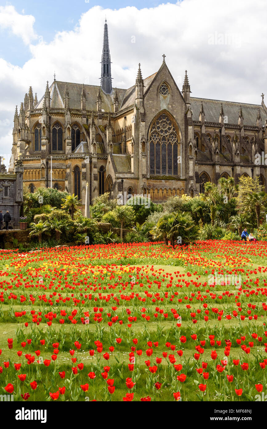 Tulip Festival: Die Tulpe Labyrinth vor der Kathedrale in Arundel, Arundel Castle. Foto © Julia Claxton Stockfoto