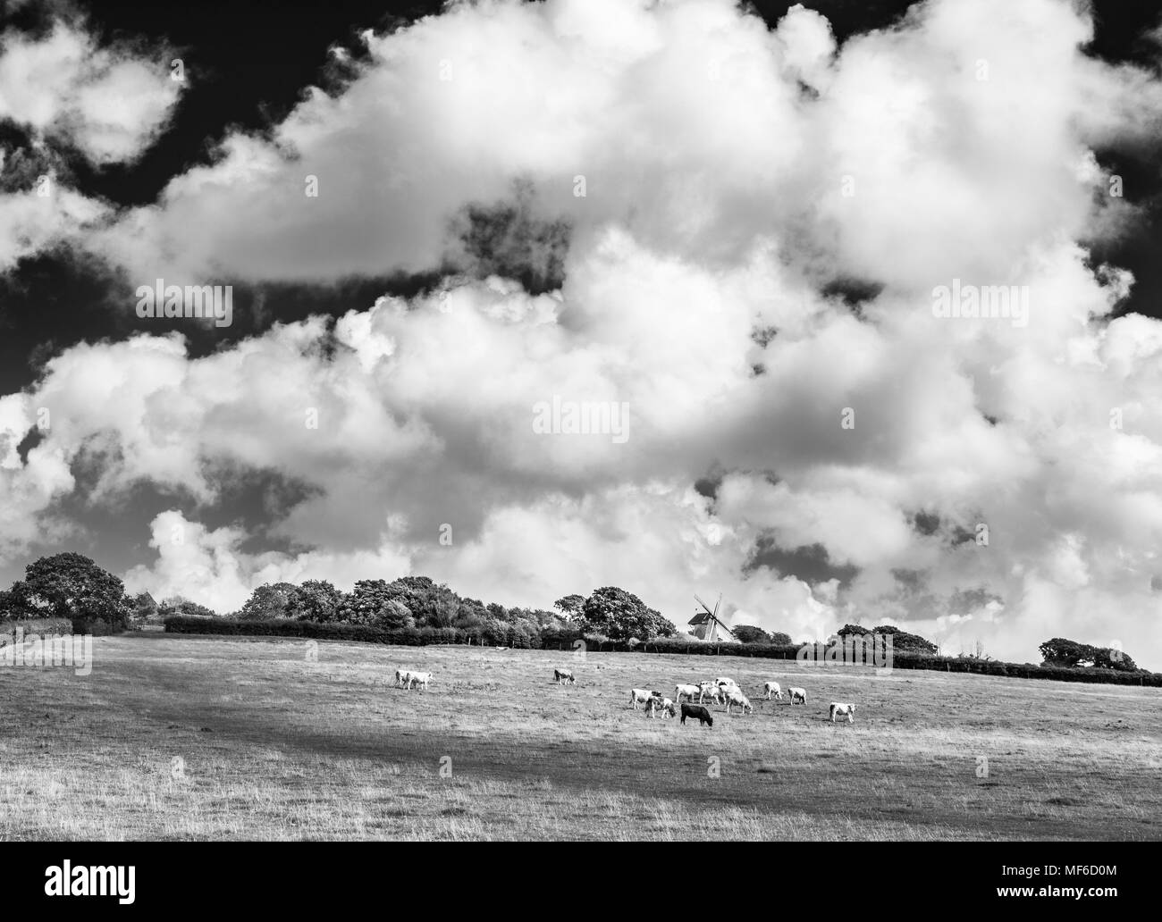 Große flauschige Wolken über Bembridge Windmill Stockfoto