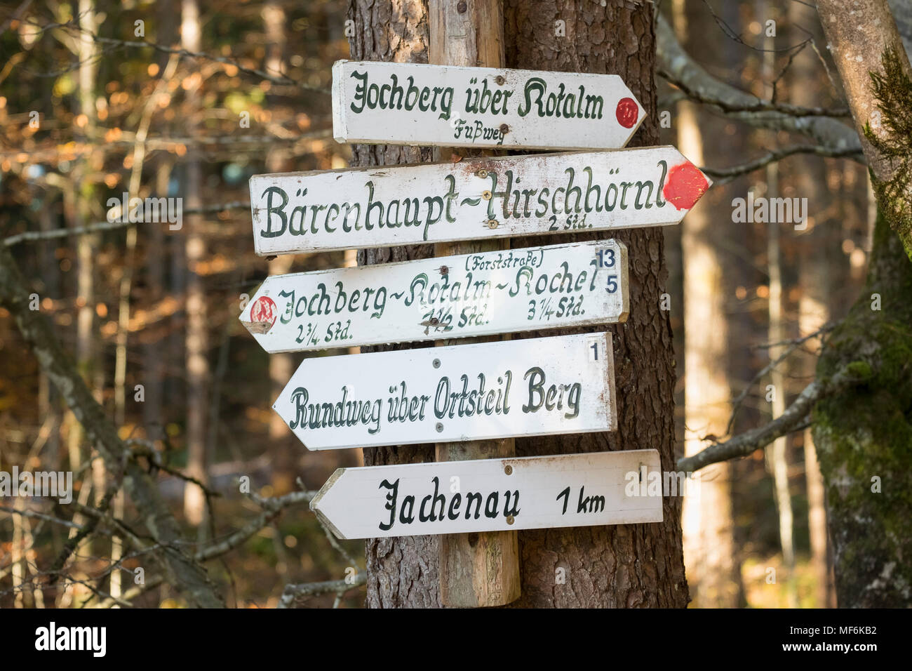 Wegweiser für Wanderwege, Jachenau, Isarwinkel, Oberbayern, Bayern, Deutschland Stockfoto