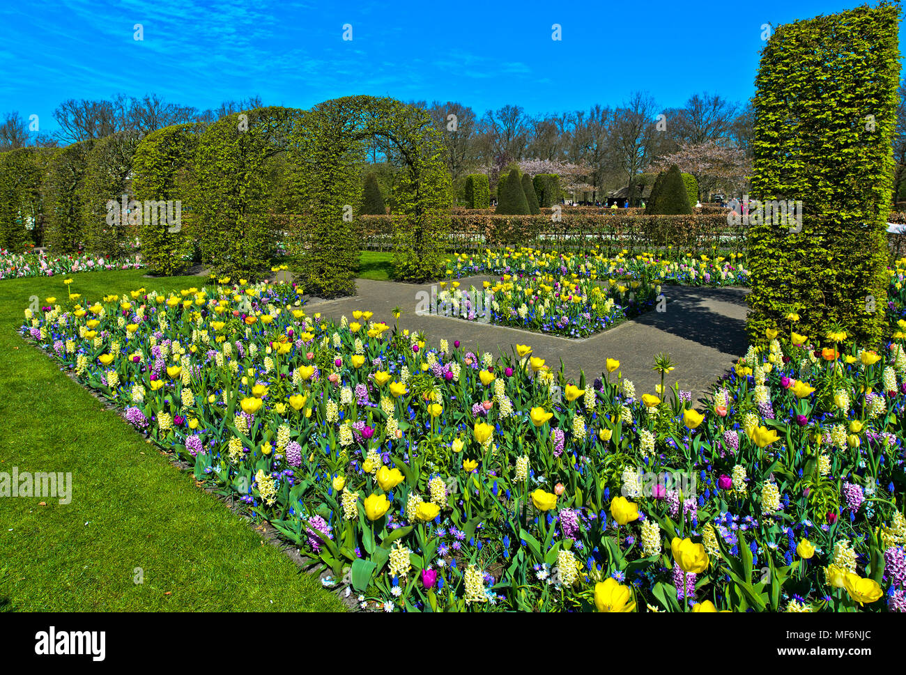 Bunte Blumenbeete, Blumenausstellung Keukenhof, Lisse, Niederlande Stockfoto