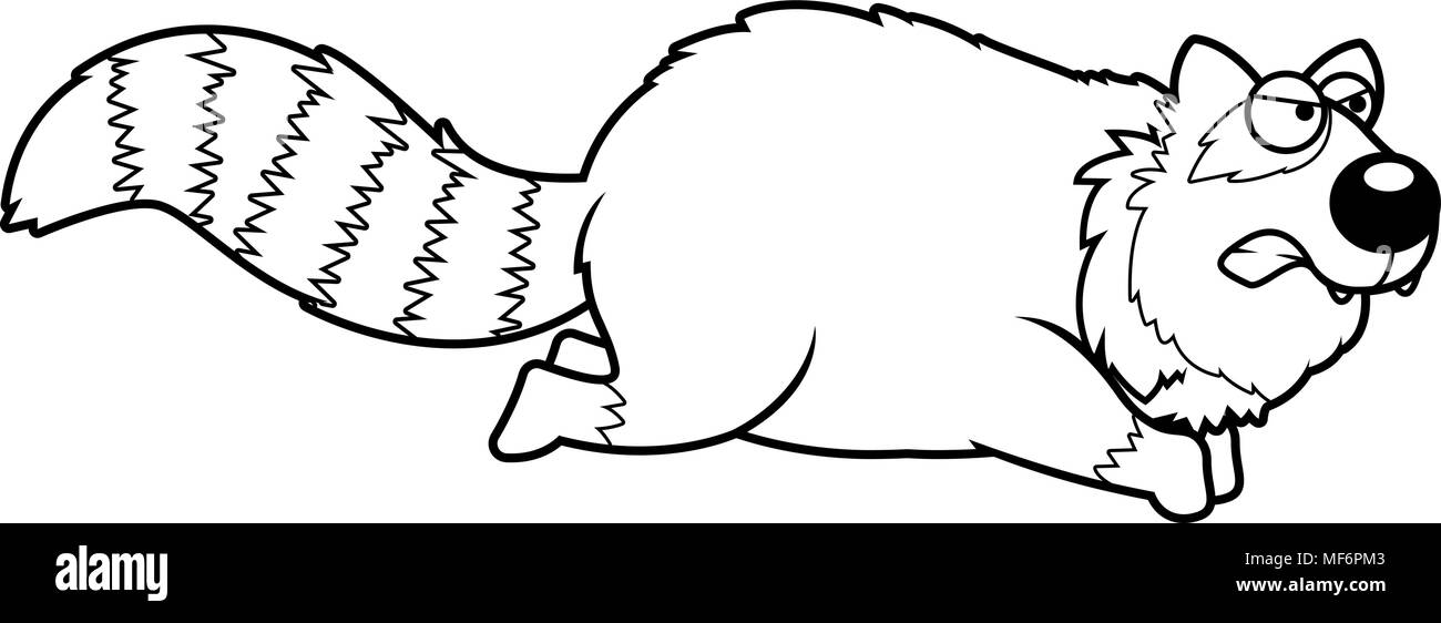 Ein Cartoon Illustration eines Roten Panda wütend und läuft. Stock Vektor