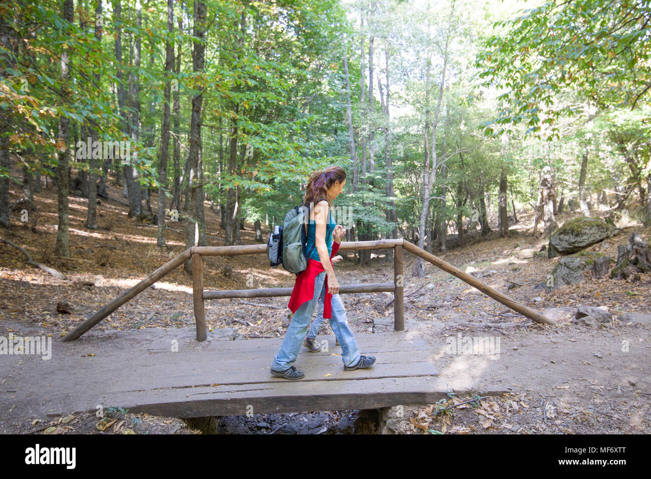 Brunette Mutter Frau mit der Hand vier Jahre alter blonde Kind Walking oder Wandern auf einer hölzernen Brücke im Wald von Kastanien im Herbst Stockfoto