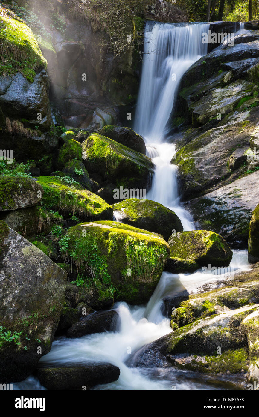 Deutschland, Deutsche Wasserfälle in Triberg mit Moos bedeckte Steine und mystische Atmosphäre Stockfoto