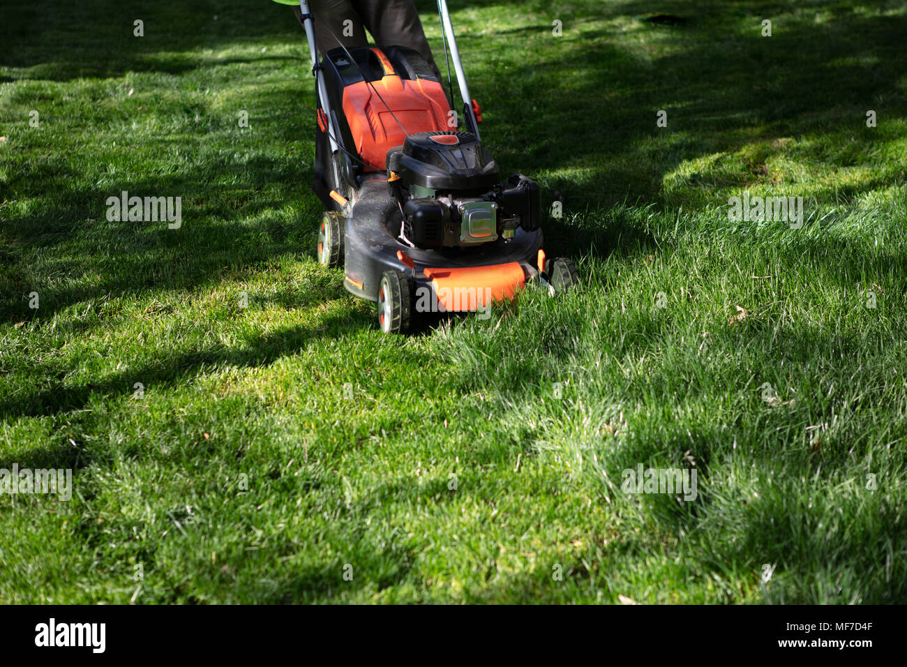 Orange Rasenmäher Schneiden von Gras. Gartenarbeit Konzept Hintergrund Stockfoto