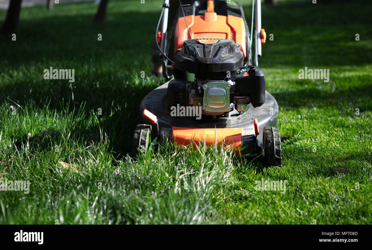 Orange Rasenmäher Schneiden von Gras. Gartenarbeit Konzept Hintergrund Stockfoto