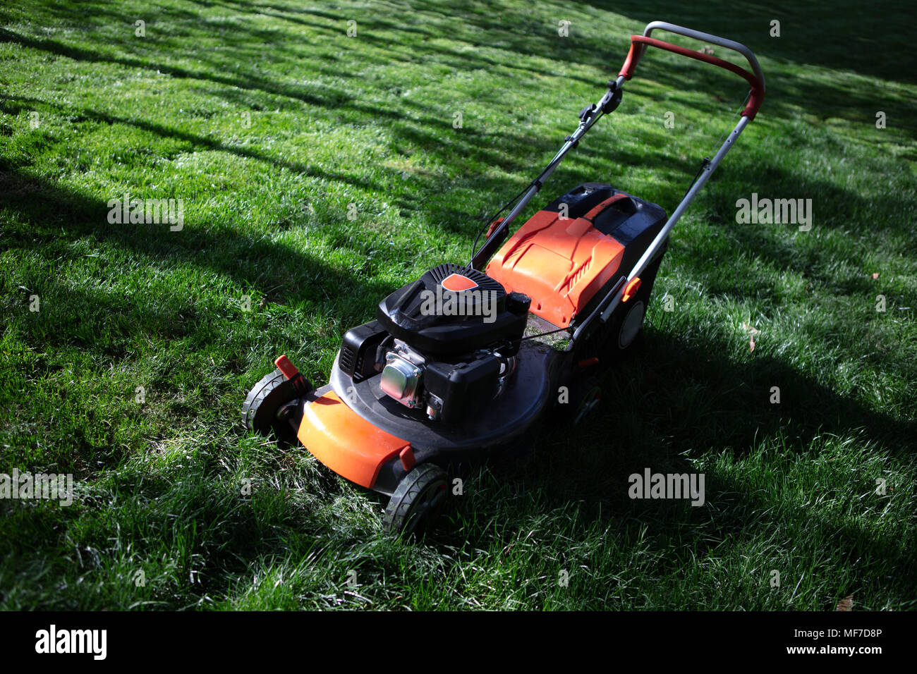 Orange Rasenmäher Schneiden von Gras. Gartenarbeit Konzept Hintergrund Stockfoto