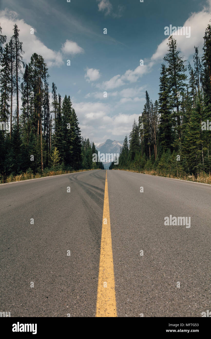 Kanada, British Columbia, Trans-Canada Highway, eine Columbia-Shuswap Stockfoto