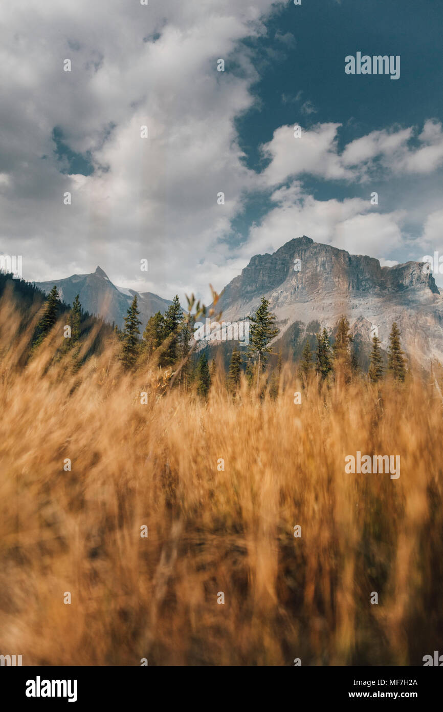 Kanada, British Columbia, Columbia-Shuswap A, Rocky Mountains, Michael Peak, Yoho National Park Stockfoto