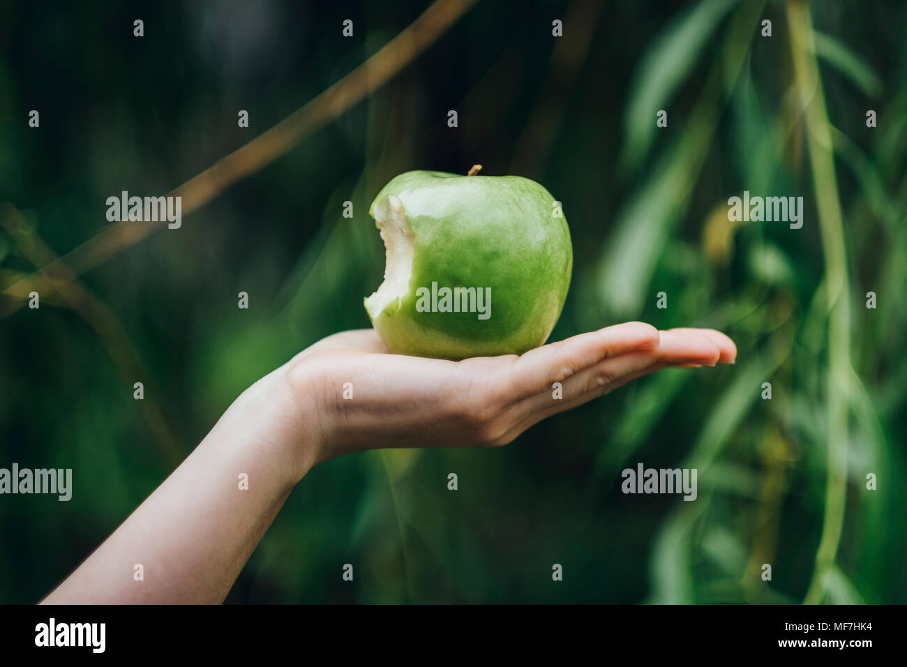 Woman's Hand gebissen Apple Stockfoto