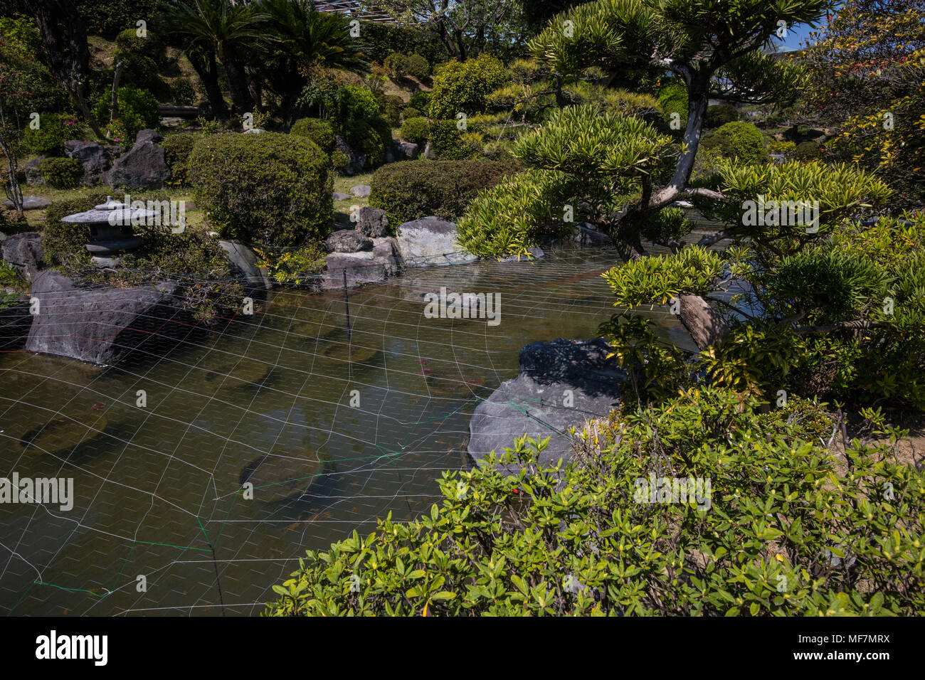 Ryuge-ji Kanfuen Garten - Ryugeji in der frühen Edo-zeit 1670 durch Priester Nisshin, ein Neffe von Oman Wer war eine Nebenfrau von Tokugawa Ieya gegründet wurde. Stockfoto