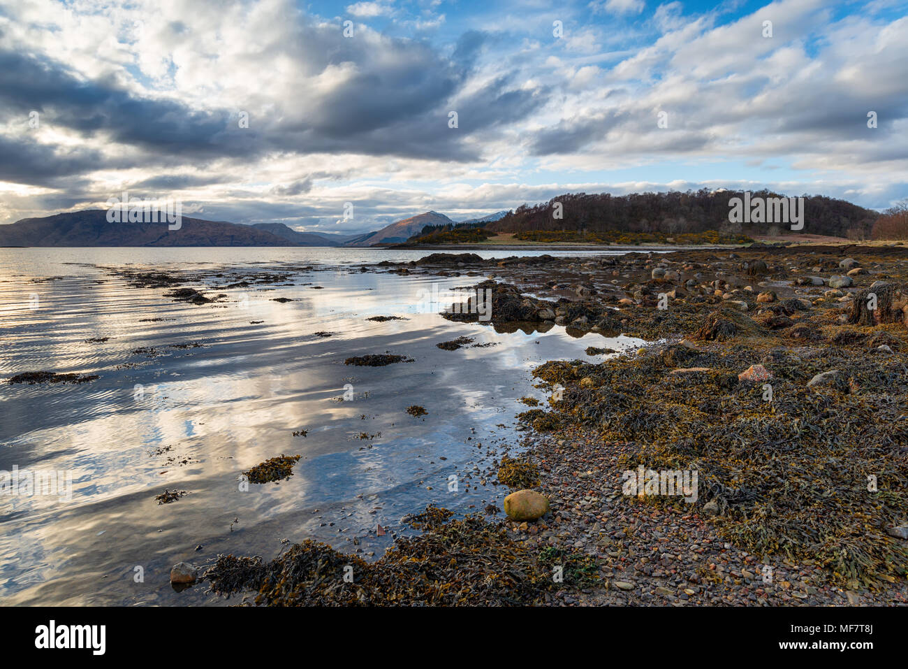 Die Ufer des Loch Linnhe in der Nähe von Port Appin in Schottland Stockfoto