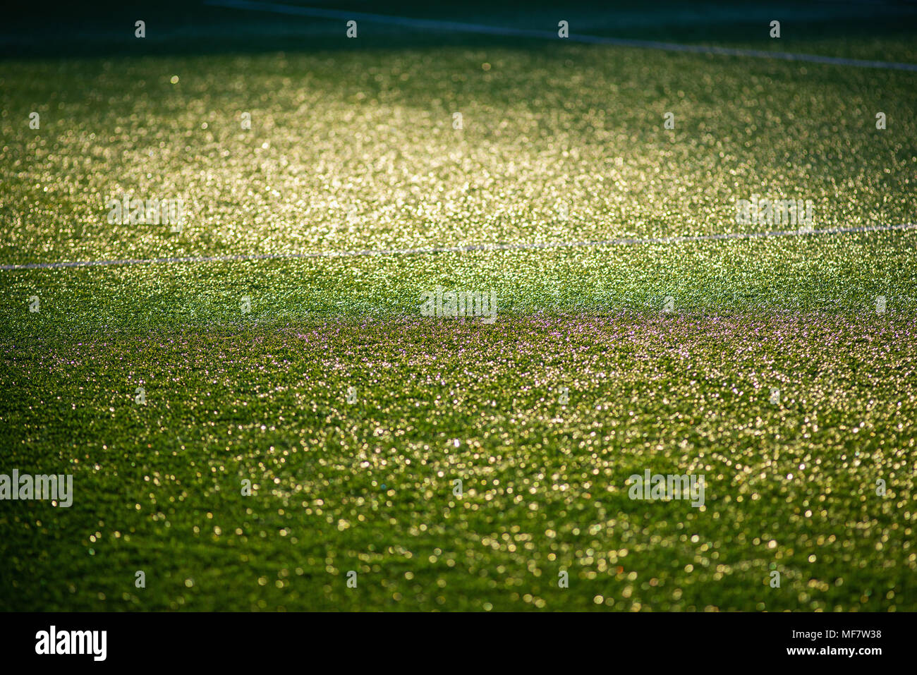 Fußball-Stadion mit grünem künstlichen Feld. Stockfoto