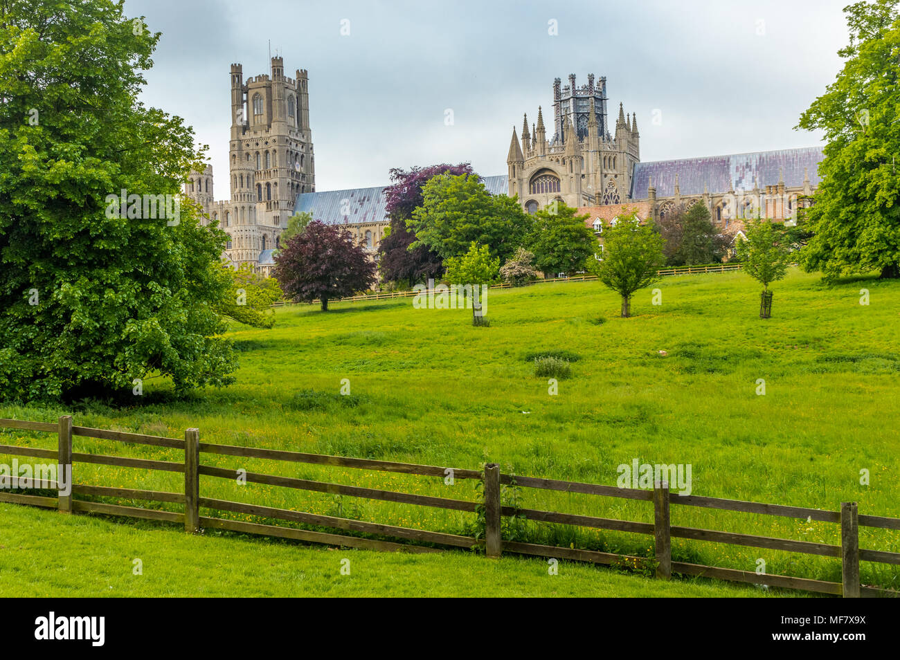 Blick auf die Kathedrale von Ely von Cherry Hill Park in Ely, Cambridgeshire, Norfolk, Großbritannien Stockfoto