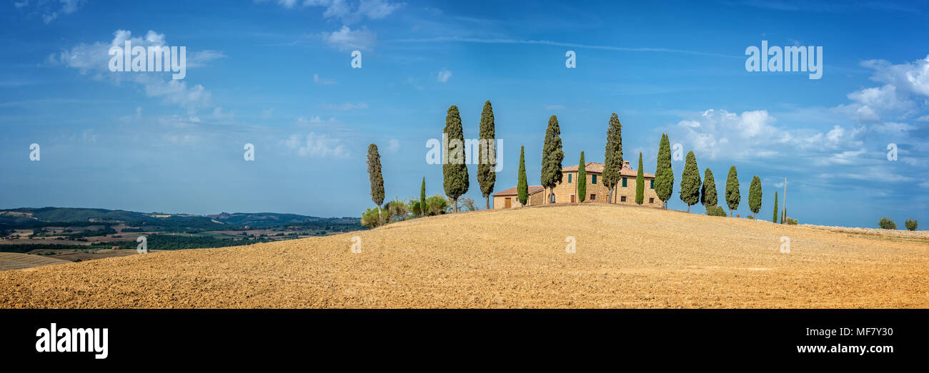 Typische Landschaft von einem Bauernhof mit einer Reihe von Zypressen in der Toskana, Italien Stockfoto