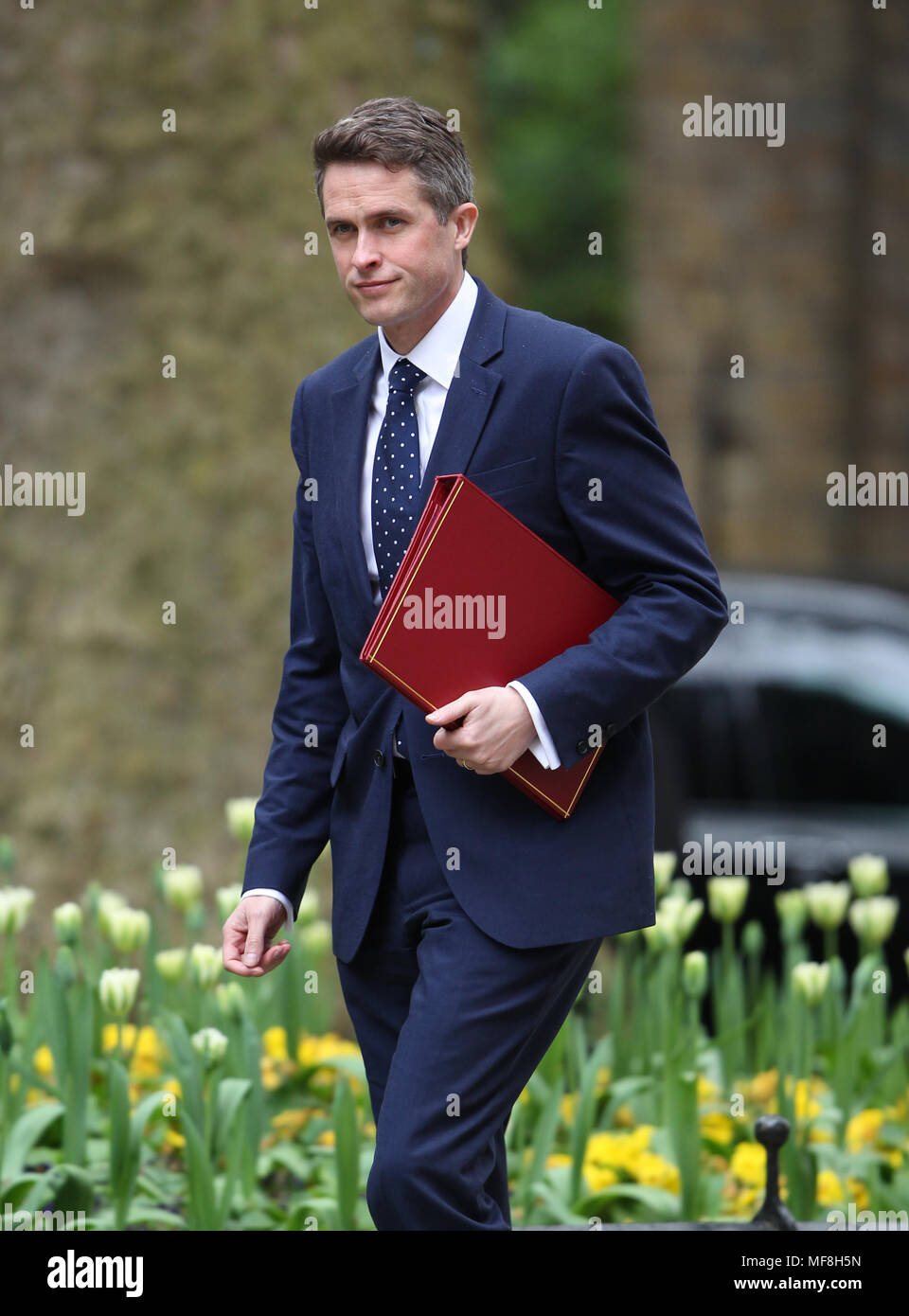 London, UK, 24. April 2018. Verteidigungsminister Gavin Williamson gesehen an einer Kabinettssitzung in Downing Street 10 Stockfoto