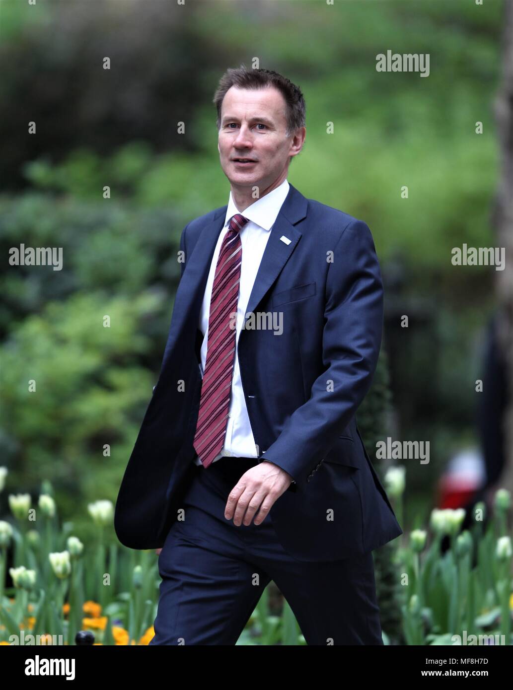 London, UK, 24. April 2018. Staatssekretär für Gesundheit und soziale Betreuung Jeremy Hunt gesehen an einer Kabinettssitzung in Downing Street 10 Stockfoto