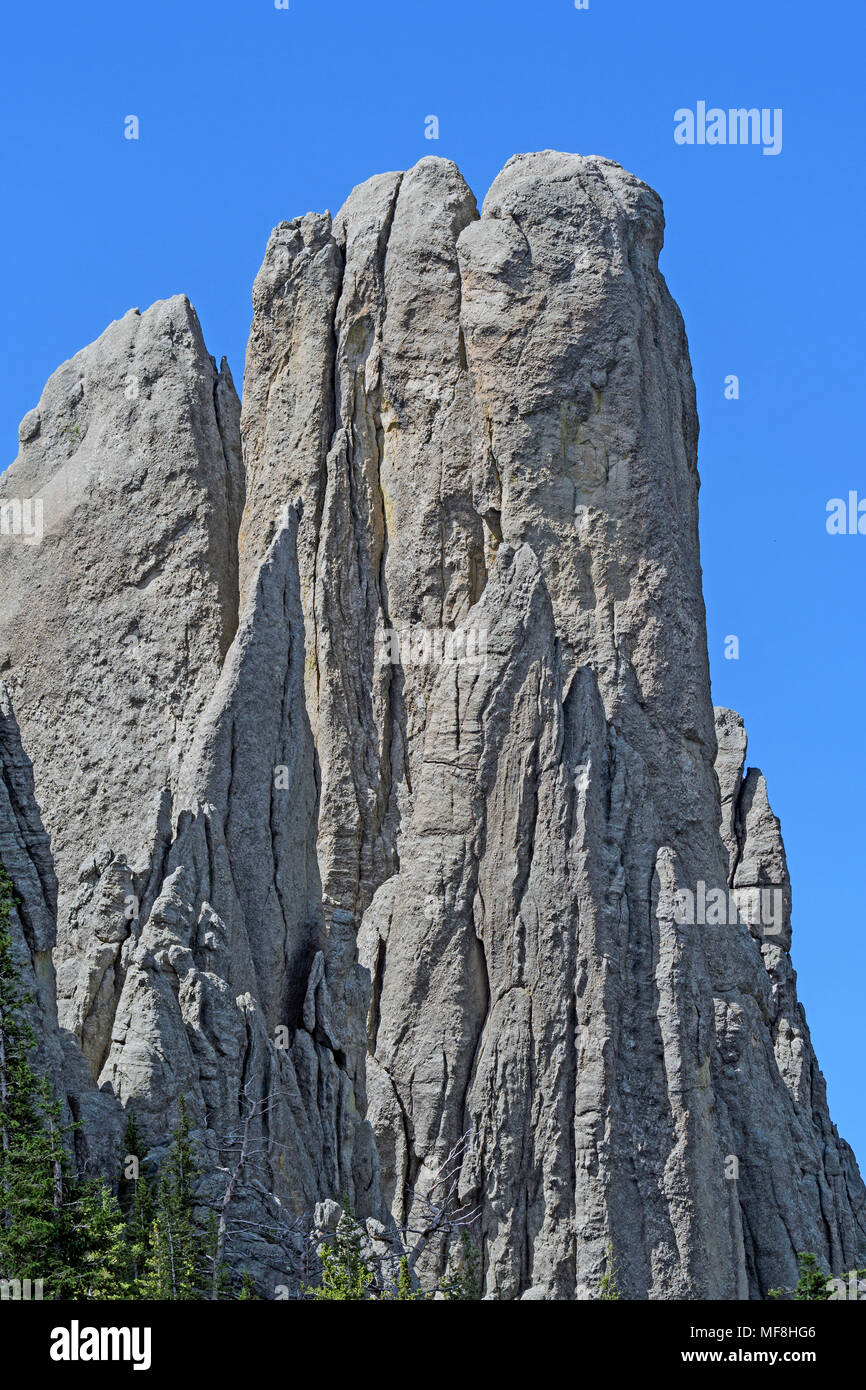 Spektakuläre Monolith in den Nadeln der Black Hills im Custer State Park in South Dakota Stockfoto