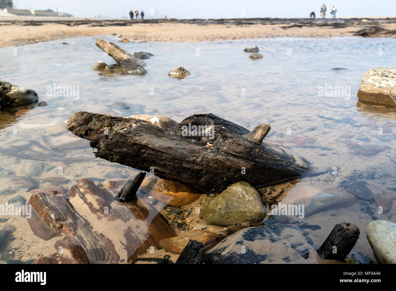 Altes Schiffswrack mit den Überresten einer 7.000 Wald und Torfgebiete aufgedeckt durch Sturm Emma im März 2018 Hinter, Strand, Cleveland Redcar, Großbritannien, Stockfoto