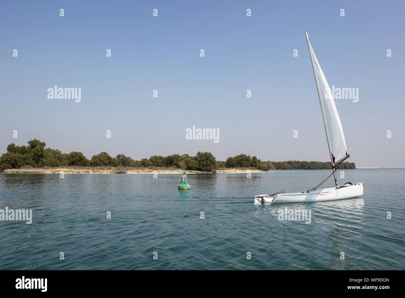 Segelboot Mangroven auf der ourtskirts von Abu Dhabi in den Vereinigten Arabischen Emiraten gelegen. Stockfoto