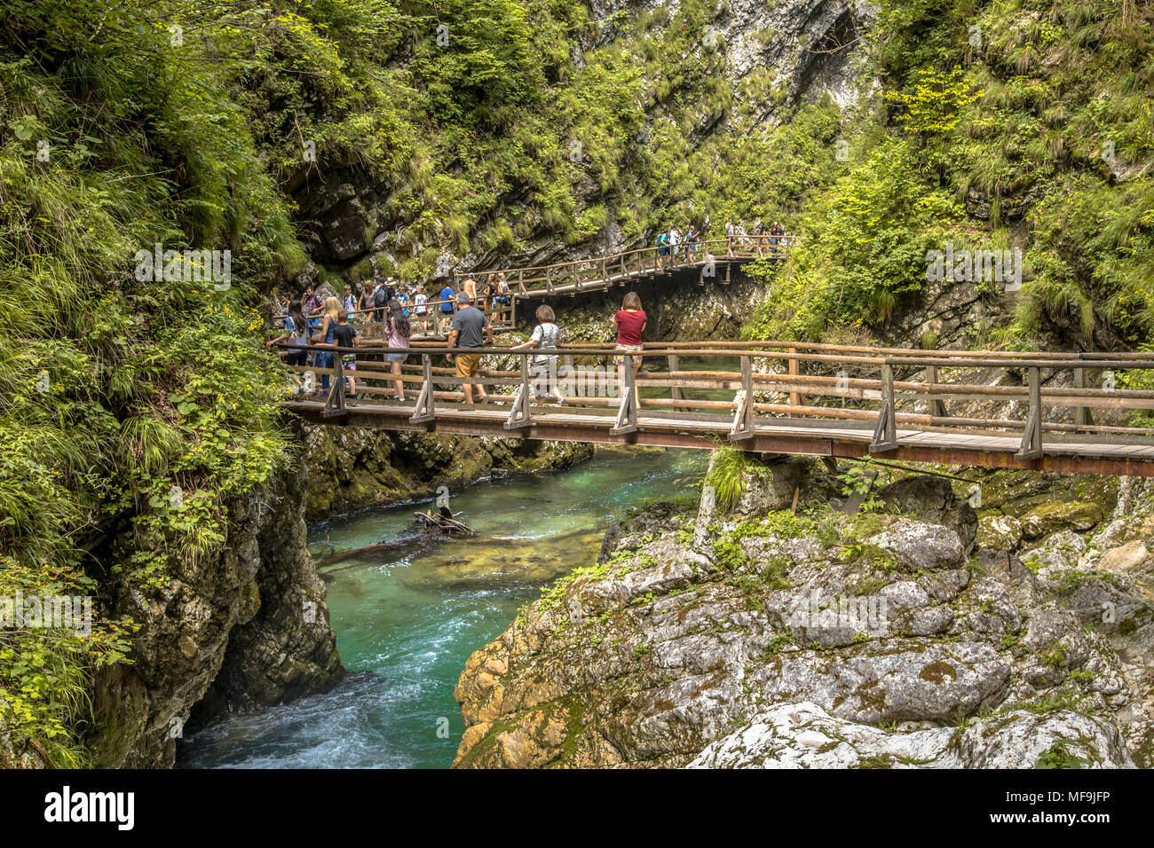 Soteska Schlucht Vintgar mit Touristen zu Fuß auf der Promenade entlang des Flusses Tal Stockfoto