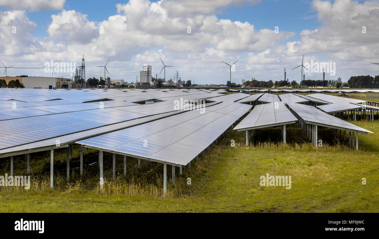 Sonnenkollektoren einer Photovoltaikanlage im industriellen Bereich Stockfoto