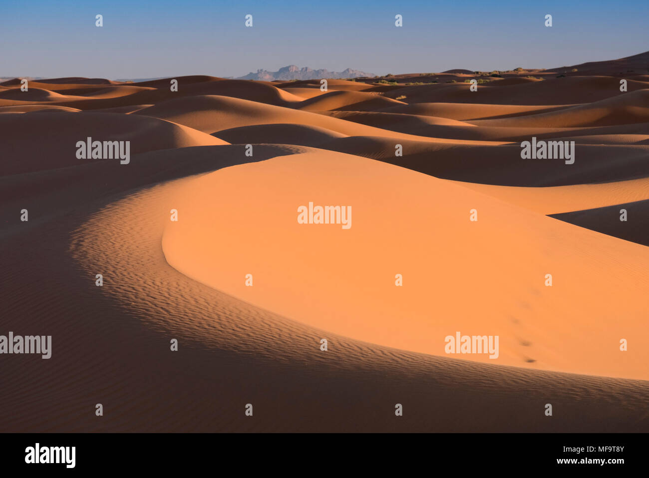 Meer von Sand, Dünen der Wüste Erg Chebbi, Westsahara, Marokko Stockfoto