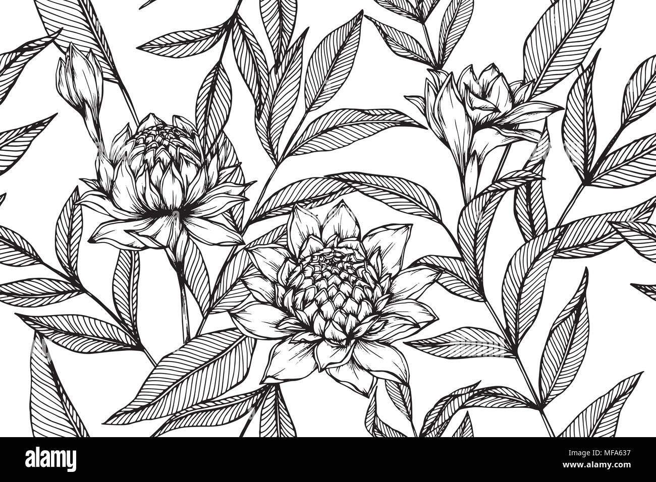 Hawaii Blume Zeichnen