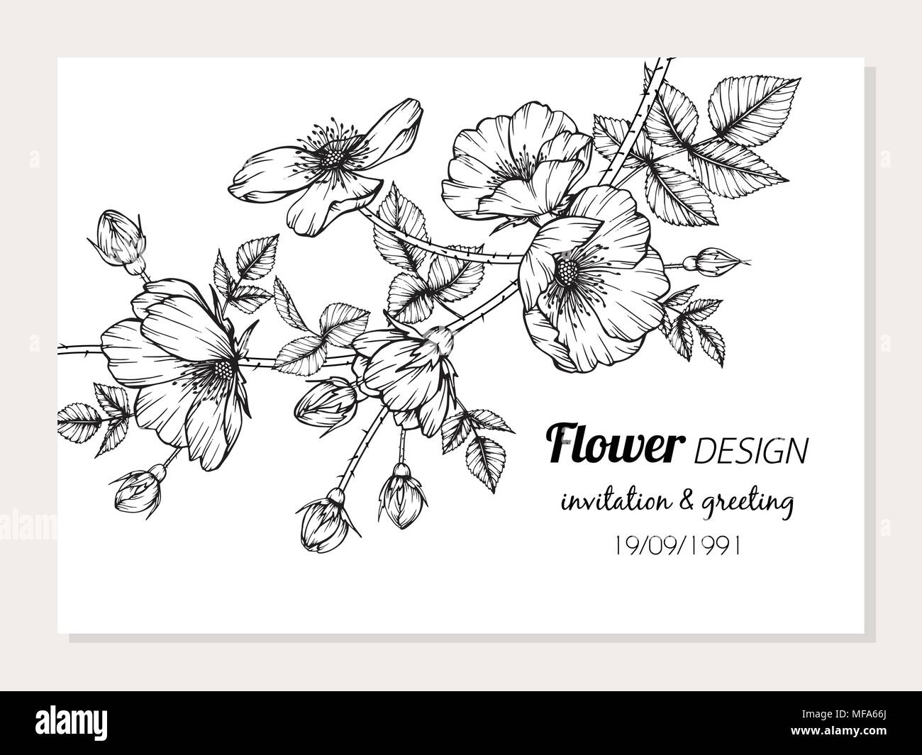 Dog Rose Blume Rahmen Illustration für Card Design. Stock Vektor