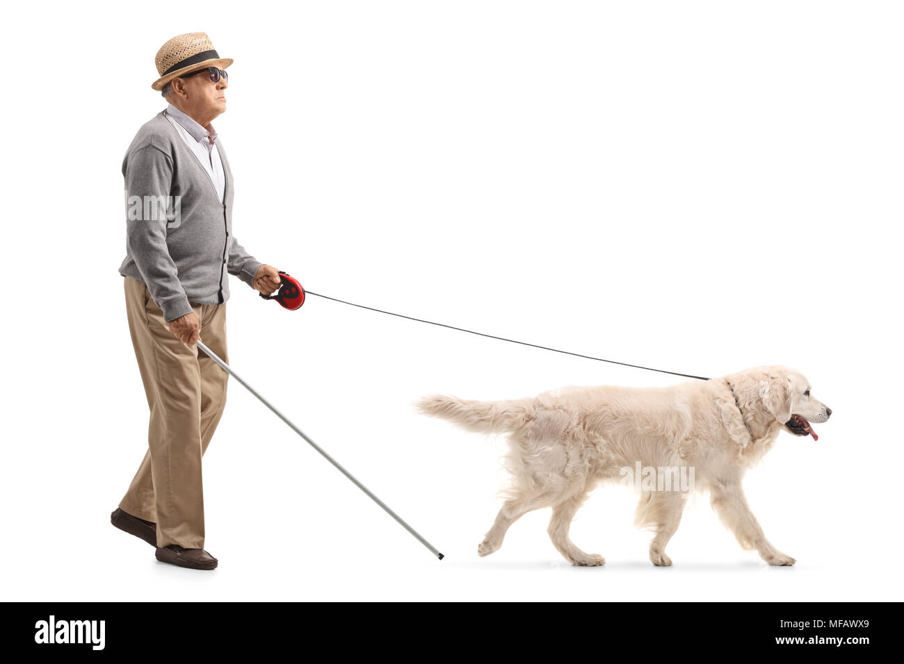 Volle Länge Profil Schuß eines Blinden reifer Mann mit Hilfe eines Hundes auf weißem Hintergrund Stockfoto