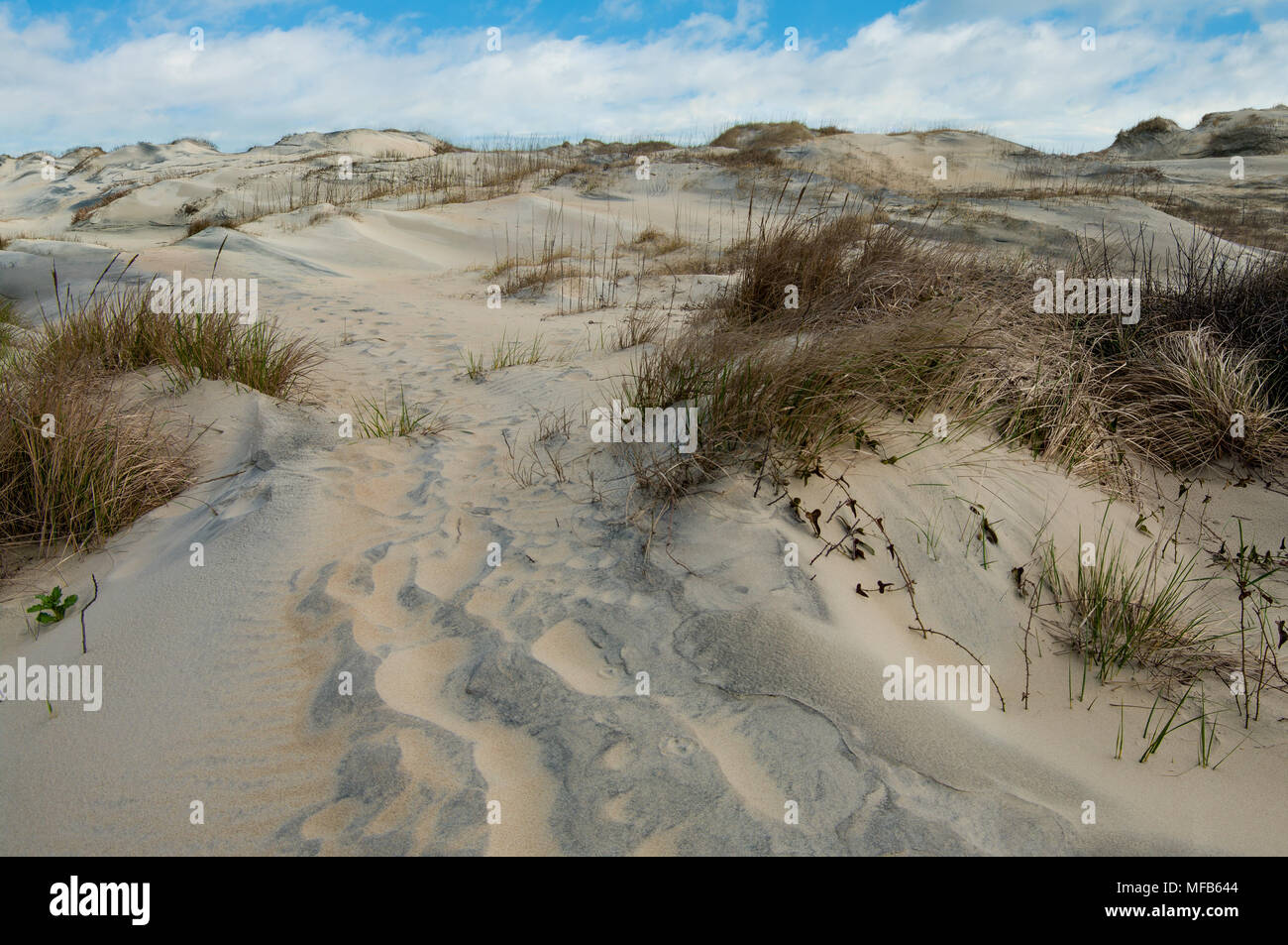 Sanddünen Fußweg: Windblown Sand füllt die Spuren der Wanderer auf einem Pfad durch die Dünen am Cape Hatteras National Seashore. Stockfoto