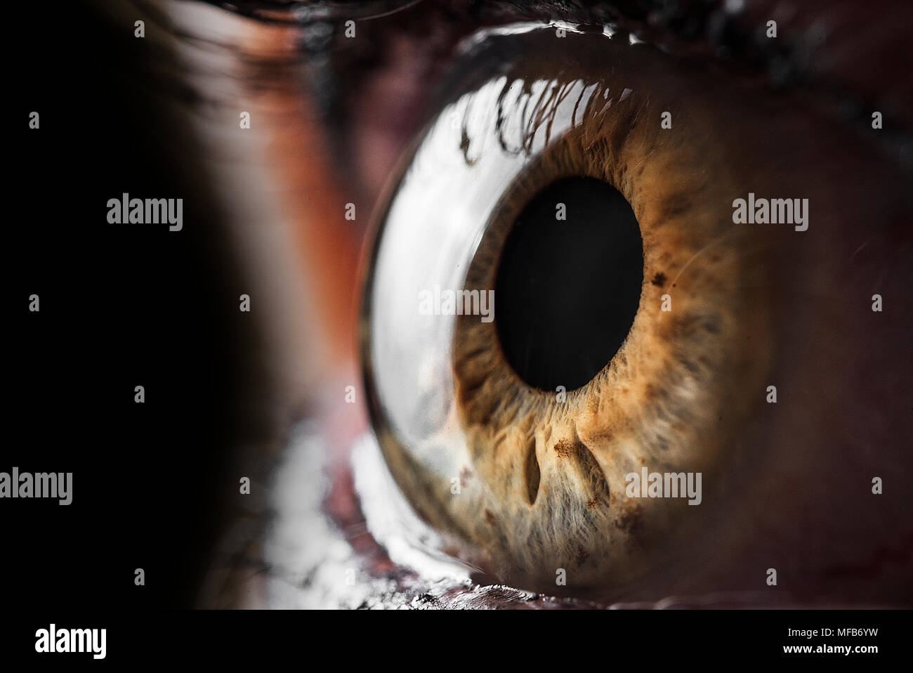 Makro - Fotografie aus dem menschlichen Auge. Stockfoto