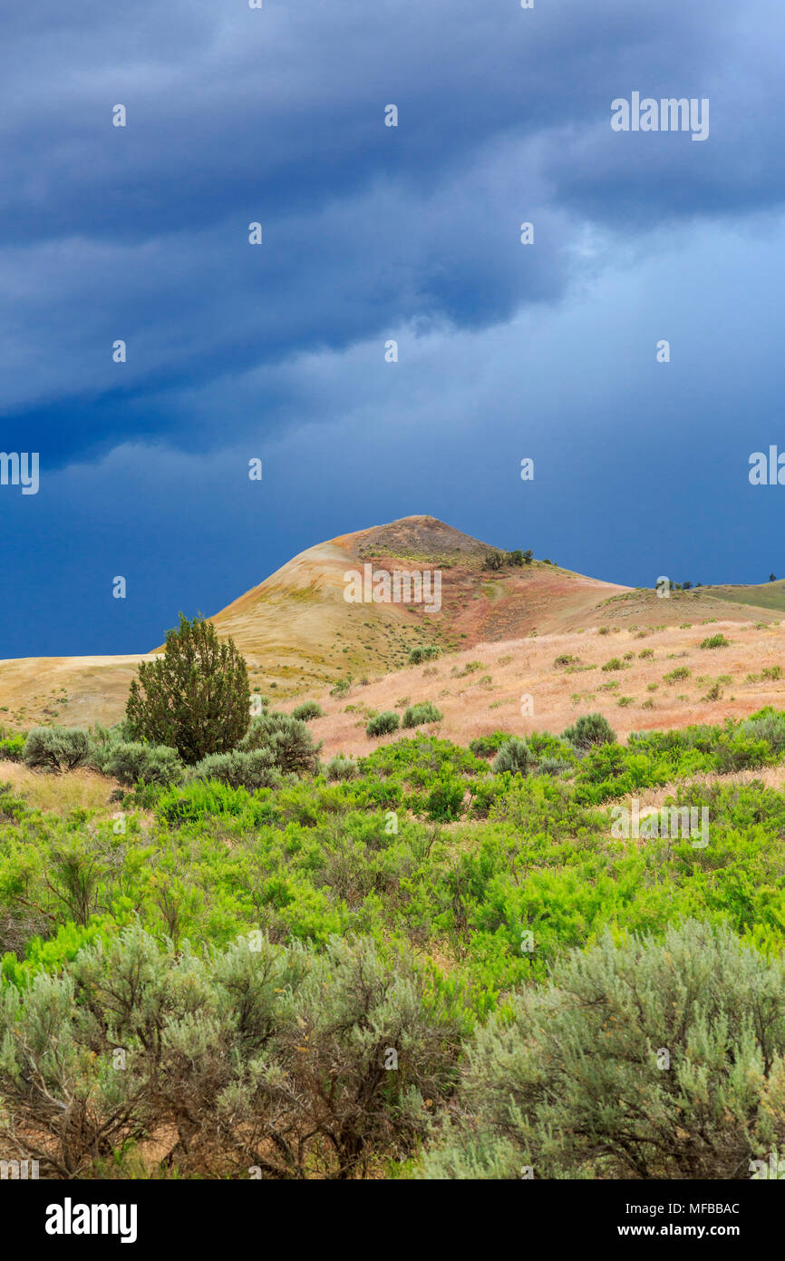 Nordamerika, USA, Florida, zentrale Oregon, Redmond, Bend, Mitchell. Serie von niedrigen Hügel gestreift in bunten Bänder von Mineralien, Asche und Stockfoto