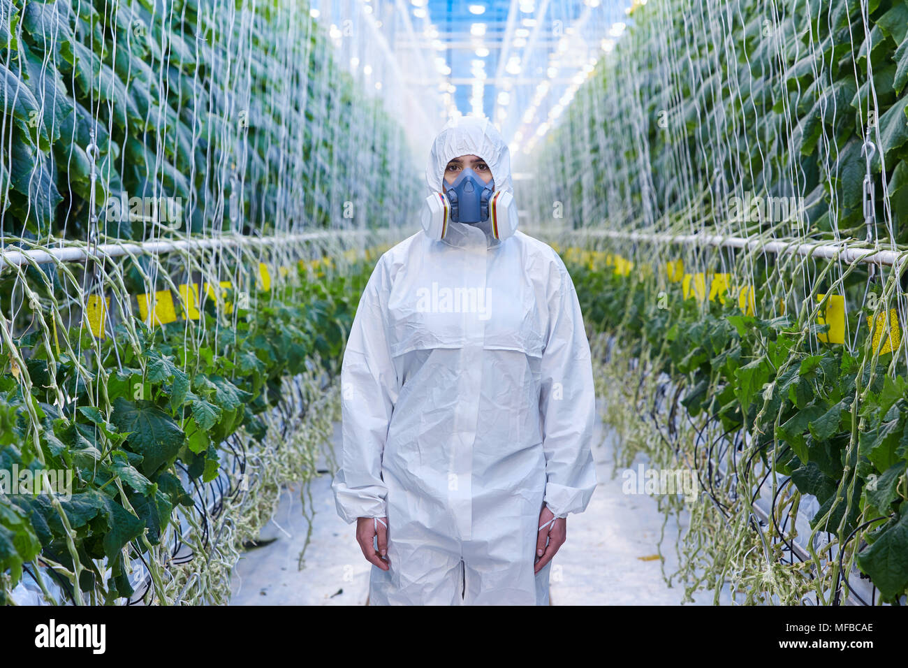 Weiblichen Plantagenarbeiter in Hazmat Anzug Stockfoto