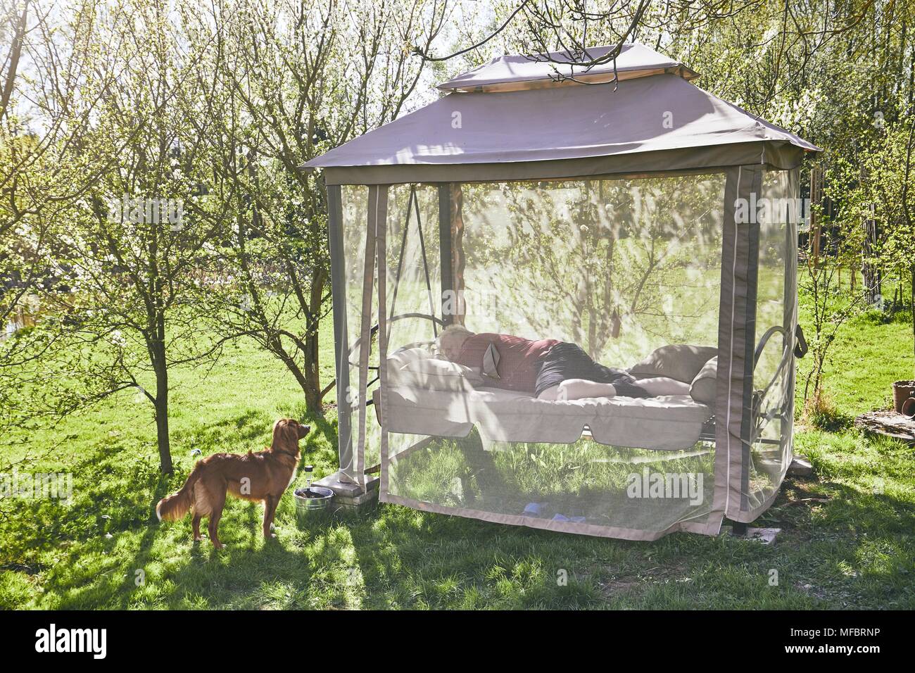 Fruhling Sonnigen Tag Auf Dem Garten Menschen Schlafen Auf Der Schaukel Stockfotografie Alamy