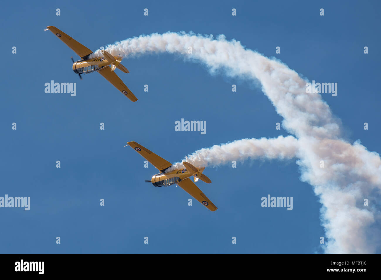 Die kanadische Harvard Aerobatic Team führt eine Antenne Demonstration über den Ohio River, 21. April 2018, während der Donner über Louisville air show in Louisville, Ky. Die diesjährige Veranstaltung zeichnete eine Masse von mehr als 500.000 Zuschauer. (U.S. Air National Guard Foto von Oberstleutnant Dale Greer) Stockfoto