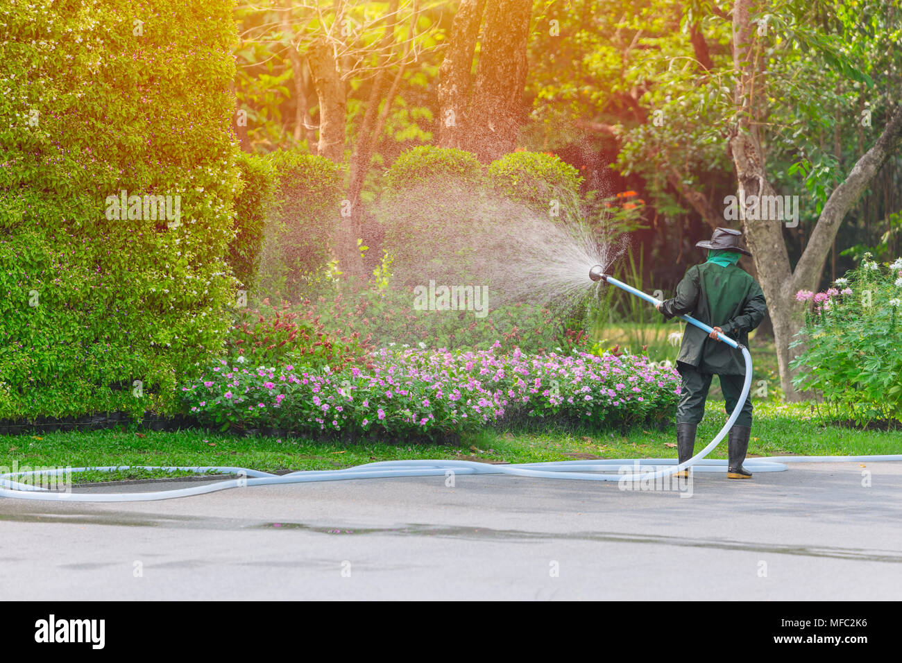 Gärtner Arbeiter spray Bewässerung von Bäumen und Pflanzen im Park jeden Morgen Stockfoto