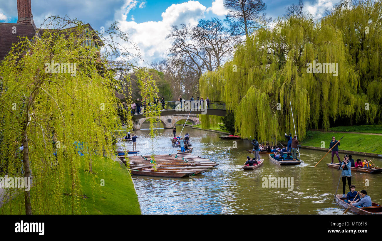 Cambridge, Großbritannien - 17 April 2016: Menschen stochern auf dem Fluss Cam, genießen Sie ein wundervolles Wochenende Stockfoto