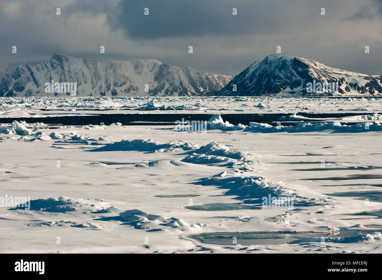 Packeis; Svalbard Stockfoto