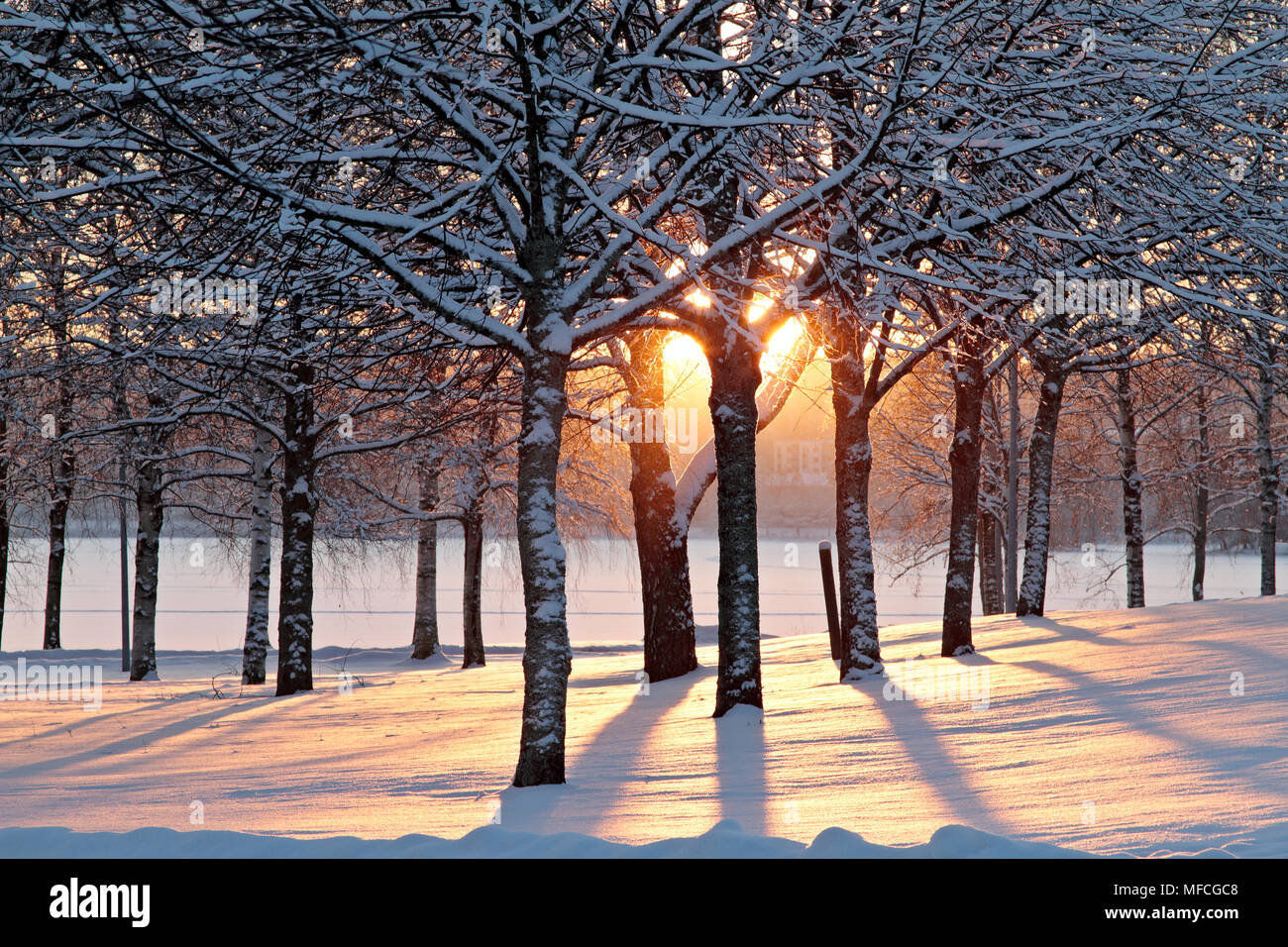Sonne unten an einem kalten Tag einfrieren Stockfoto