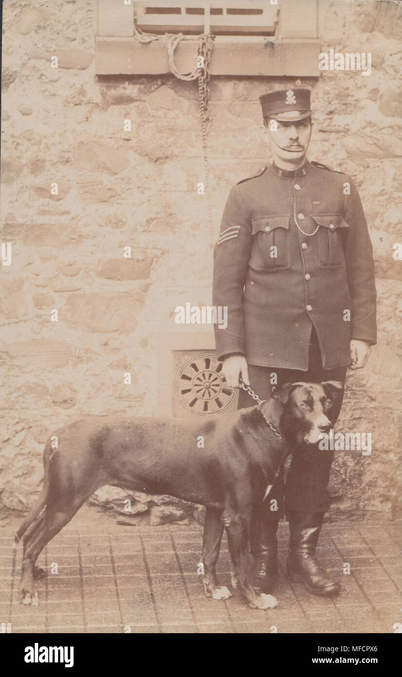 Echten photographische Postkarte von einem Polizisten mit einer Dogge Hund, der Schiffbruch der S.S. Alfred Erlandsen in St. Abbs im Oktober 1907 überlebt Stockfoto